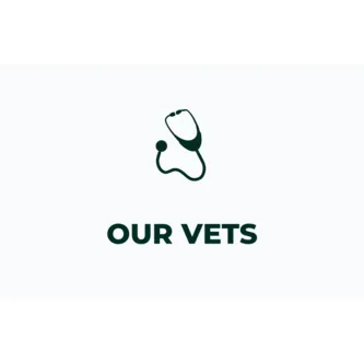 Our Vets