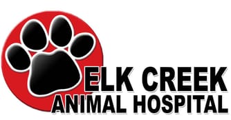 elk creek animal hospital taylorsville ky