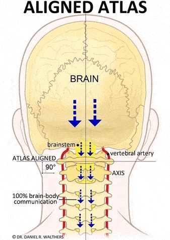 Atlas Orthogonal Technique