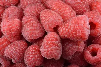 A bunch of Raspberries