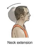 Neck Extension (Backward Bending)