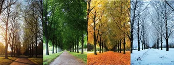 How the Change of Seasons Affects Our Health | Basalt, Aspen, Carbondale, Spine Spot Chiropractic