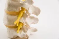 Vancouver chiropractic care treats spinal misalignments