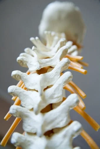 Degenerative disc disease is not as much a disease as it is a name for the changes that can happen to the spine as we age.