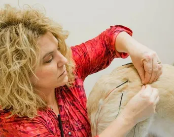 Dr. Pfeffer Acupuncture