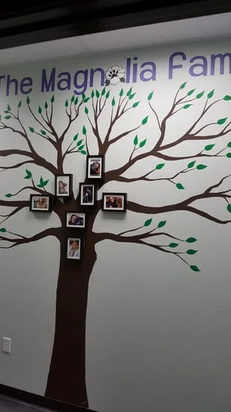 MAGNOLIA FAMILY TREE
