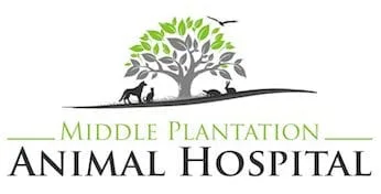 Middle Plantation Animal Hospital