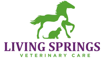 Living Springs Veterinary Care
