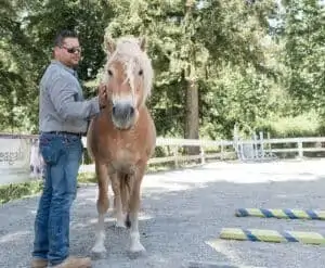 Rafael Estevez petting a horse