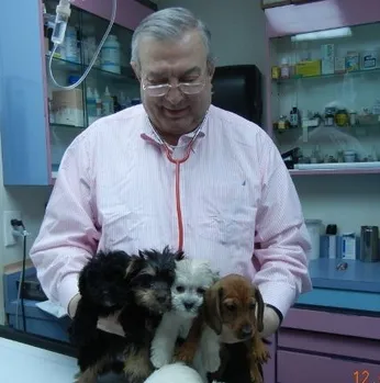 dr-alexandru-and-puppies-640x480.jpg