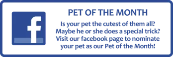 Pet of the month