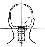 skullN.gif