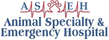 Animal Specialty and Emergency Hospital