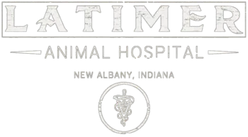 Round dog and cat logo