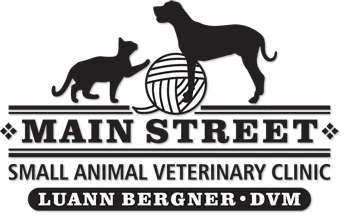 Main Street Small Animal Veterinary Clinic