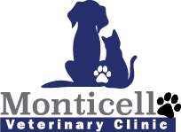 Staff Veterinarian In Monticello Wi Monticello Veterinary Clinic