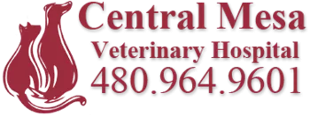 Central Mesa Veterinary Hospital