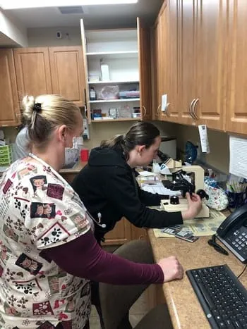 Ladys using a microscope