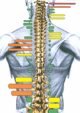 Saline_Neck_Doctor_precision_testing_thermography.jpg