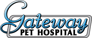 Services Veterinarian In Kitchener On Gateway Pet Hospital