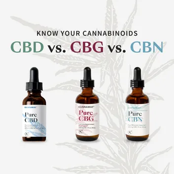 Chiropractor in King of Prussia | CBD Products in King of Prussia 