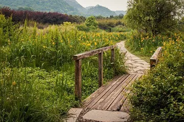 china walking trail