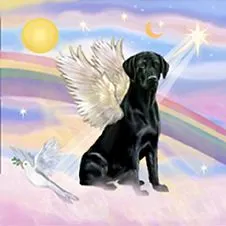 black_labrador_angel.jpg