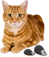 catandmice.png