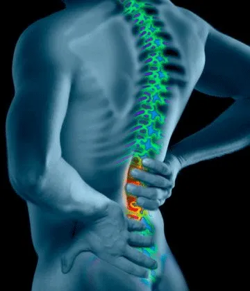 Back and Spine