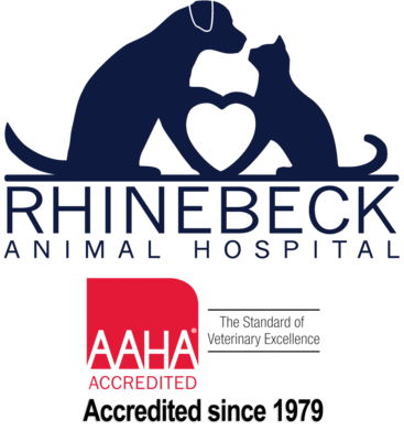 Rhinebeck Animal Hospital | Rhinebeck Veterinarian | Animal Clinic NY