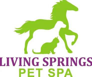 Spa Logo