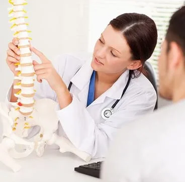Chiropractor referring to model spine