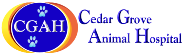 Cedar Grove Animal Hospital Veterinarian In Cedar Grove Nj Usa