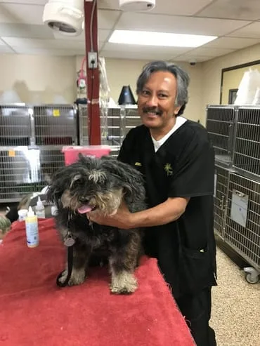 Dog Grooming Before Photo - Family Pet Clinic of Redondo Beach