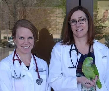 Dr. Sunshine Riehl and Dr. Paula Thomas veterinarian owners of Advanced Veterinary Care of San Elijo