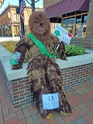 Chewbacca by Saline Area Girl Scouts Troop 40346