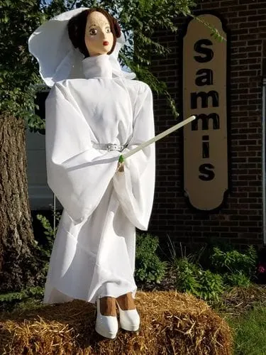 Pricess Leia by Fab Force - Entry #18 - Seventh Annual Saline Scarecrow Contest