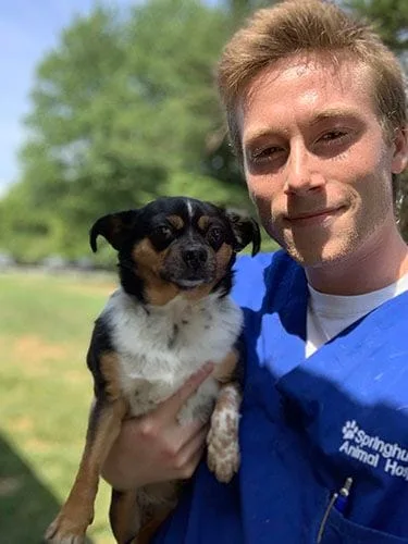 Springhurst Animal Hospital vet technician holding dog in right arm