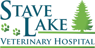 Stave Lake Veterinary Hospital | Your Veterinarians in Mission, BC