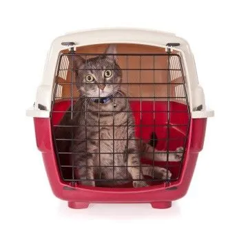 cat_travel_carrier.jpg