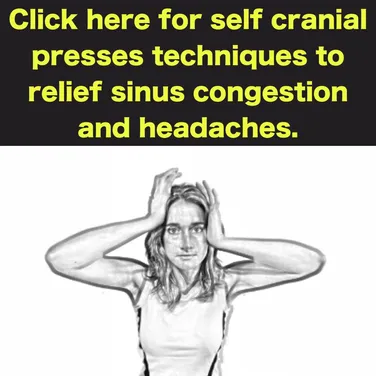 cranial press