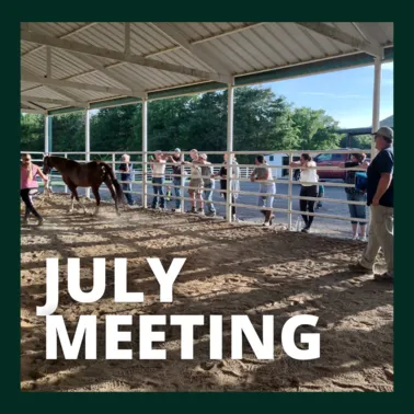 DCLAH Farriers Meeting July Meeting 