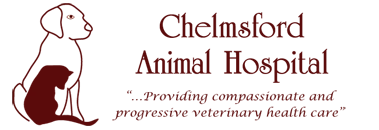 Chelmsford Animal Hospital