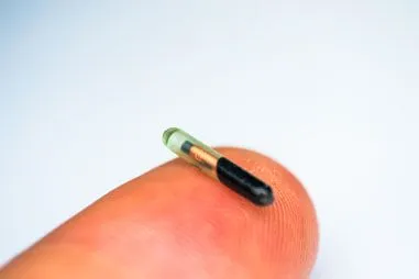 microchipping