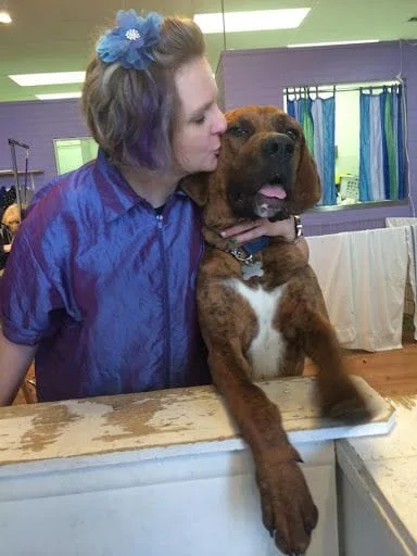 staff kissing dog