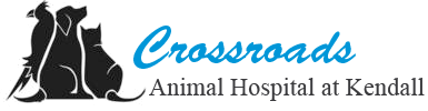 Home | Veterinarian in Miami, FL | Crossroads Animal Hospital