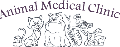 59ca97424469f animalmedicalclinic2