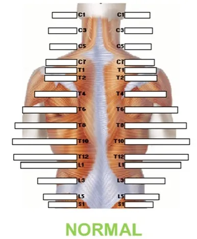 normalscan