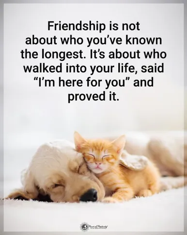 Inspirational quote over image of puppy and kitten