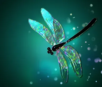 dragonfly